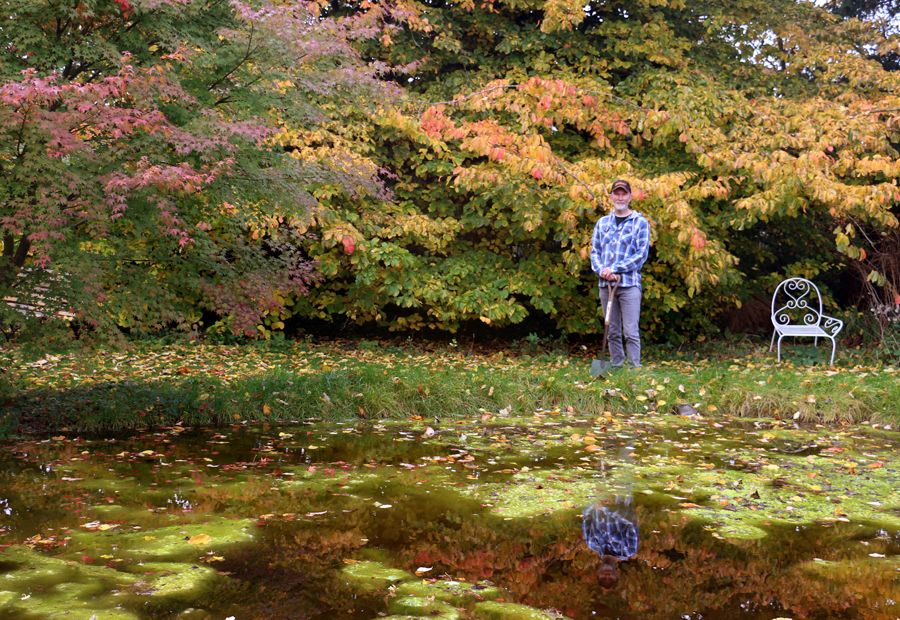 Peter Kirkham by the pond in the Fellows' Garden