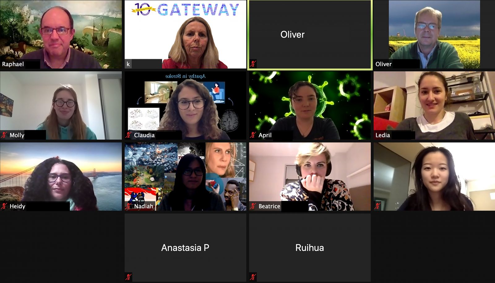 Screenshot from a Graduate Gateway session, held over Zoom.