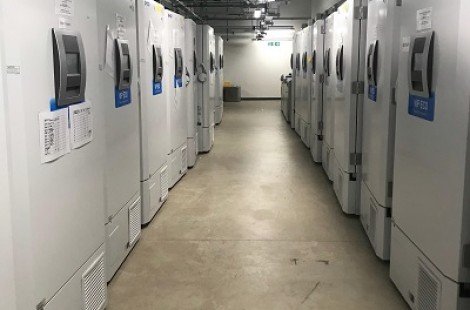 The photo shows an aisle of eighty large freezers in the University, which Jess used on a site visit.